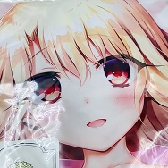 Fate/kaleid liner プリズマ☆イリヤ イリヤ☆ラブラブ サマースタイル TYPE.Y しろもうふ 抱き枕カバー