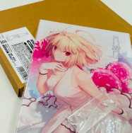 月姫 A piece of blue glass moon アニメイト限定版 特典 武内崇 描き下ろし A4アクリルパネル アルクェイド・ブリュンスタッド