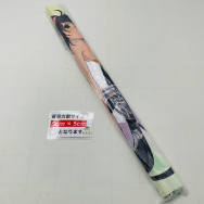 閃乱カグラ PEACHBALL ファミ通DXパック エビテン特典 B2タペストリー