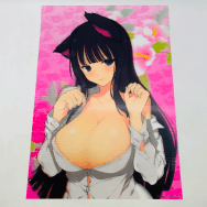 閃乱カグラ にゅうにゅう DXパック エビテン特典 斑鳩 3Dポスター