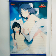 デカ盛り 閃乱カグラ トレーダー特典 雪泉 & 斑鳩 B2タペストリー