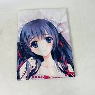 オリジナル ひめか 抱き枕カバー 小冊子付