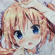 晴夏ちゃん 抱き枕カバー ライクトロン