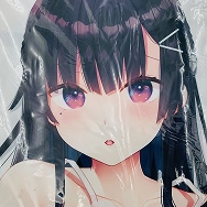 ベコ太郎 オリジナル にほん女子校生ずかん お嬢様系箱入り型女子校生 円堂麻衣子 抱き枕カバー