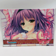 新春初夢萌BOX 2015 しんたろー 抱き枕カバー 射ペストリー ドラマCD カレンダー