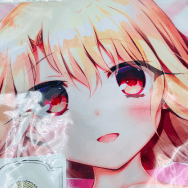 よう太 Fate/kaleid liner プリズマ☆イリヤ イリヤ☆ラブラブ サマースタイル TYPE.Y しろもうふ 抱き枕カバー