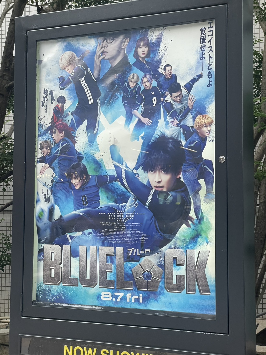 映画のポスターが額に入って掲示されている