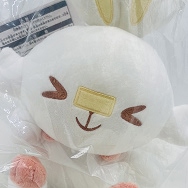一番くじ ポケモン ポケピース PEACEな夜のひととき C賞 ヒバニー ぬいぐるみ